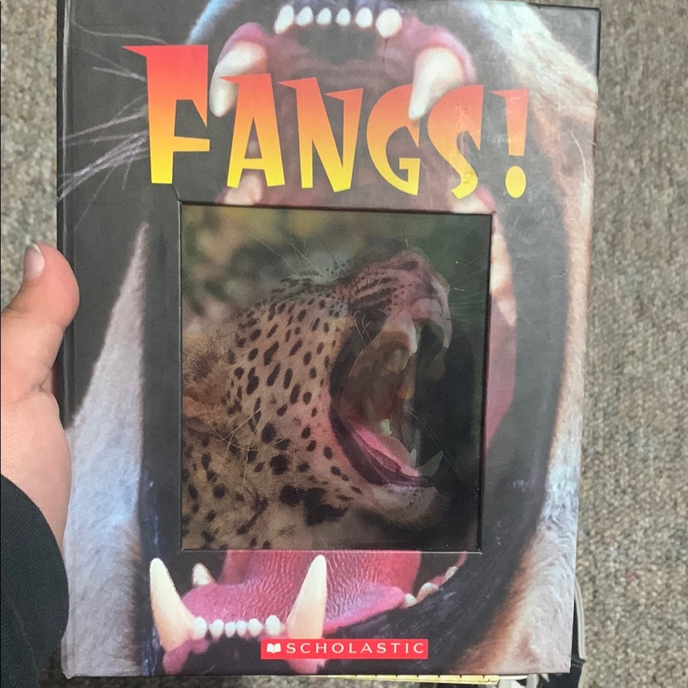 Scholastic FANGS! Fun book for kids! Used in good condition